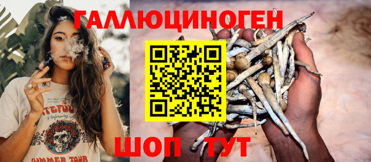 Галлюциногенные грибы GOLDEN TEACHER  Вход с VPN  Галлюциногенные грибы прущие грибы  Избербаш 
